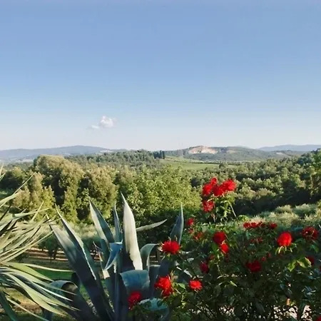Gli Di Manuela * Colle di Val d'Elsa